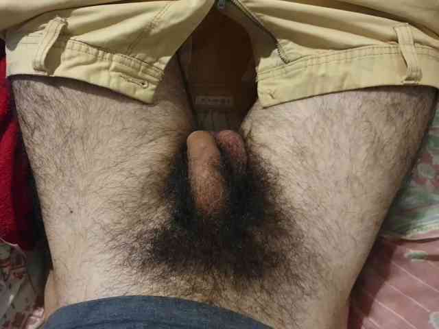 bomvemcam