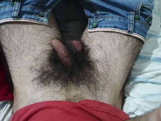 bomvemcam