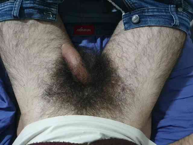 bomvemcam