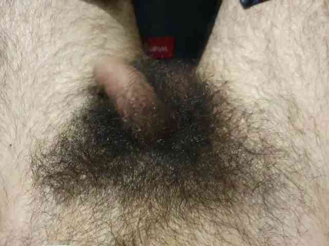 bomvemcam