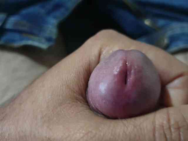 bomvemcam