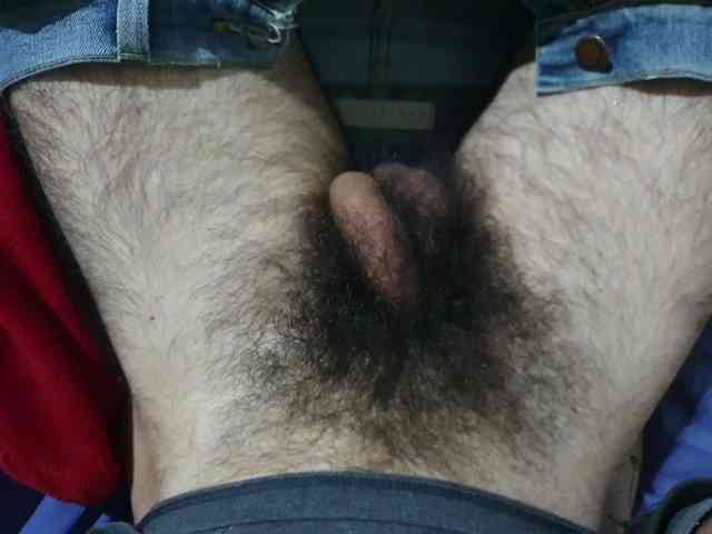 bomvemcam