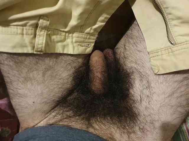 bomvemcam