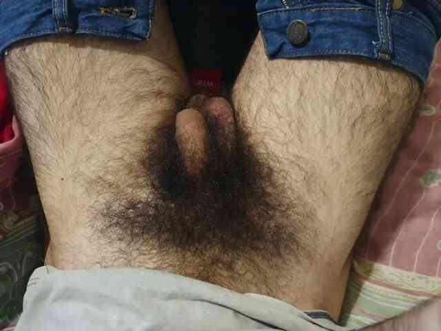 bomvemcam