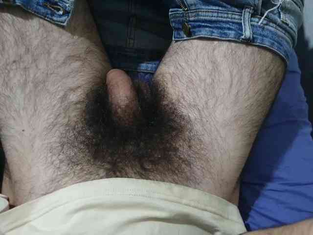 bomvemcam