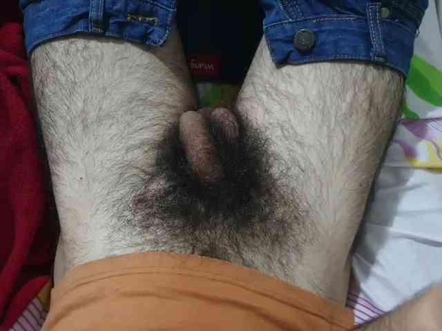 bomvemcam