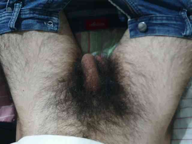 bomvemcam
