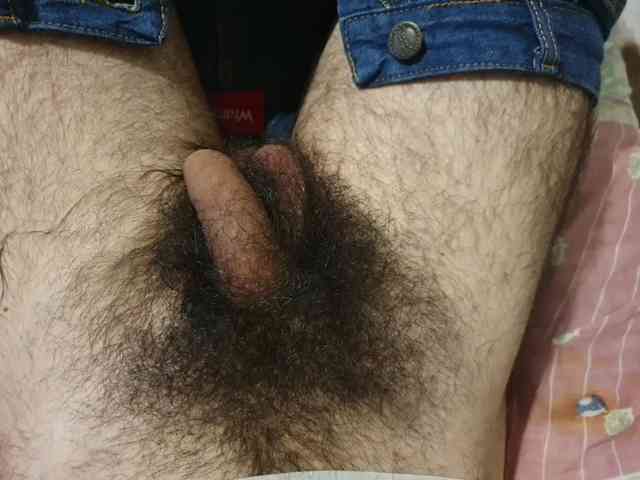 bomvemcam