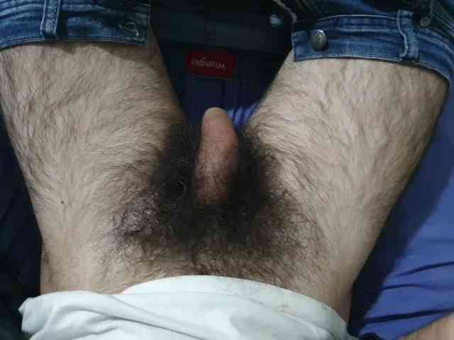 bomvemcam