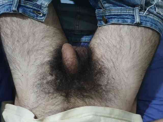 bomvemcam
