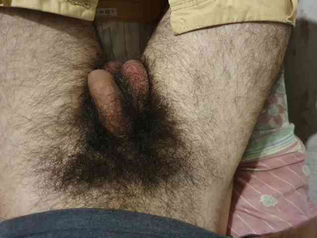 bomvemcam
