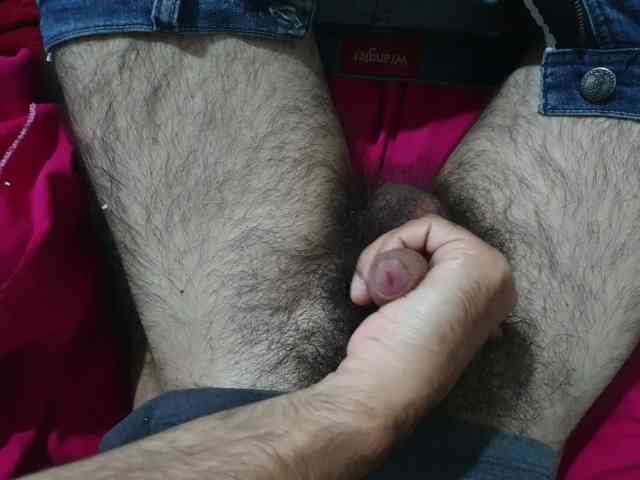 bomvemcam