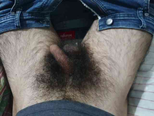 bomvemcam