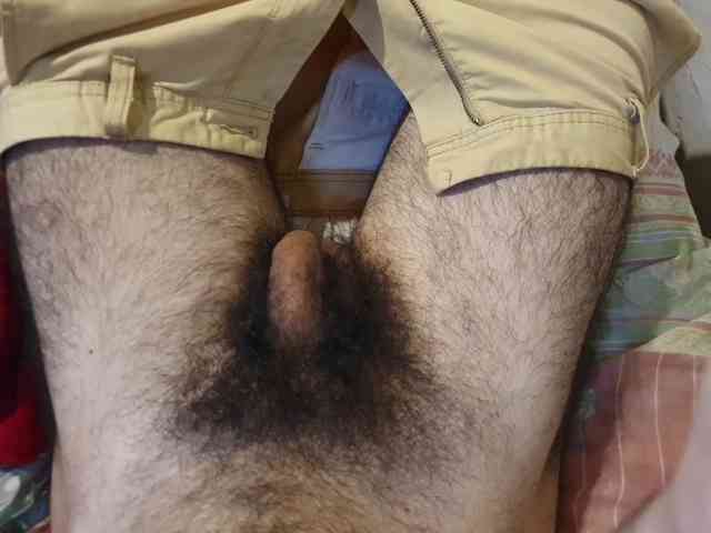 bomvemcam