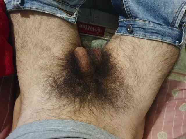 bomvemcam