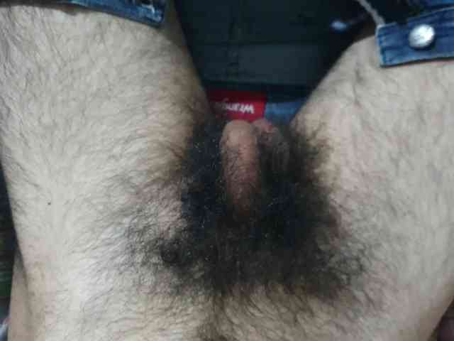 bomvemcam