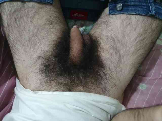 bomvemcam