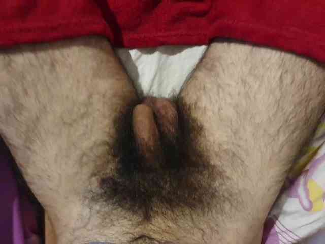 bomvemcam