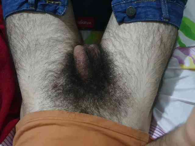 bomvemcam
