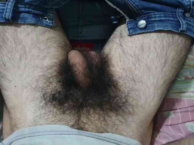 bomvemcam