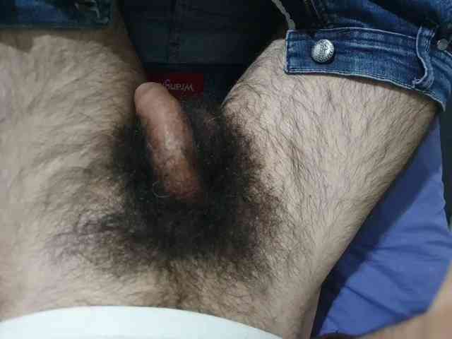 bomvemcam