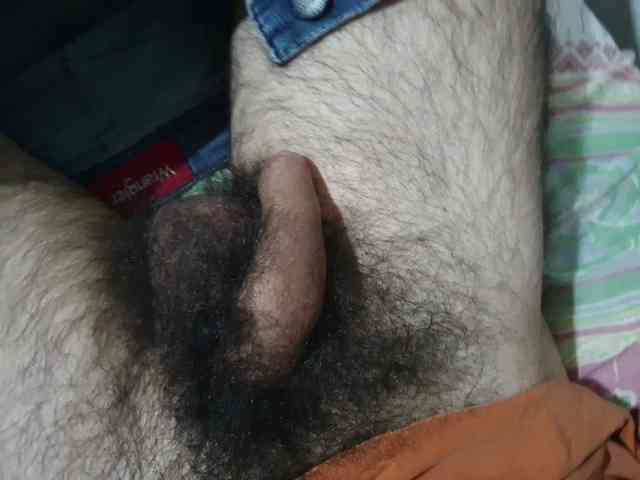 bomvemcam