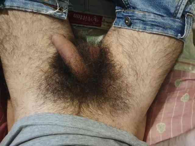 bomvemcam