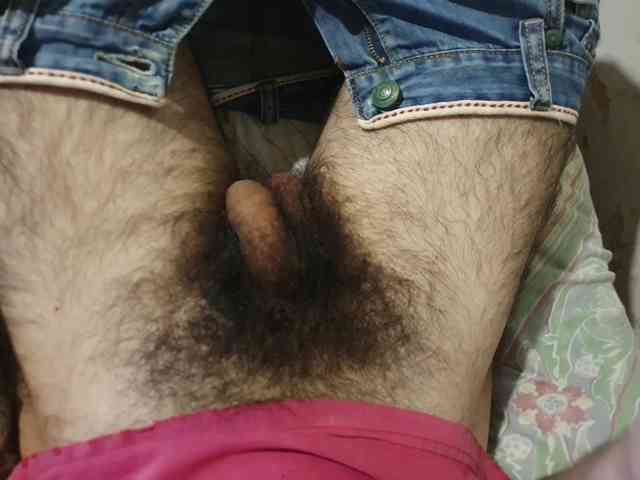 bomvemcam