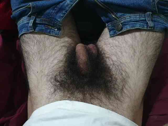 bomvemcam