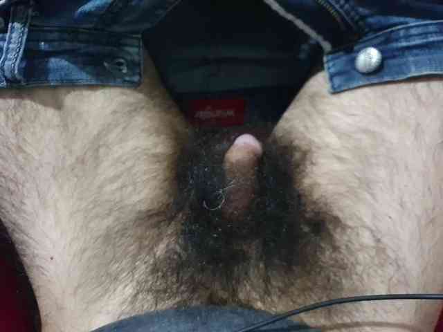 bomvemcam