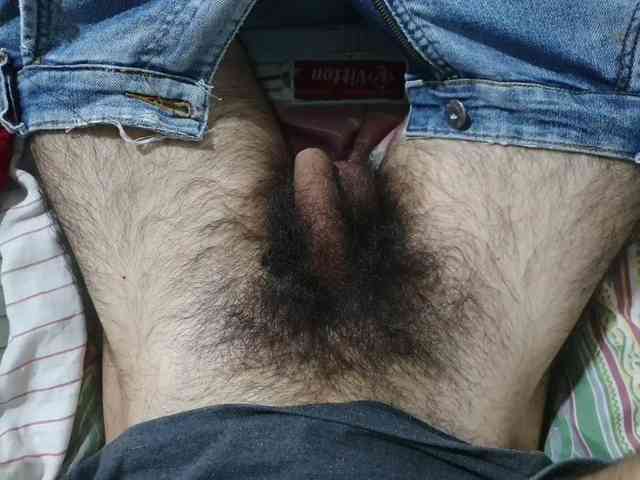 bomvemcam