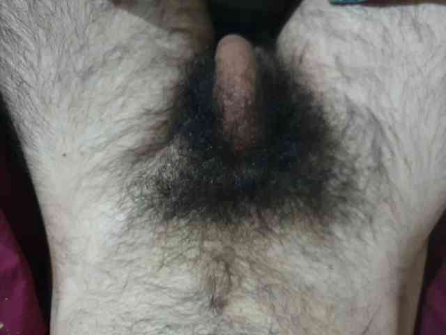 bomvemcam