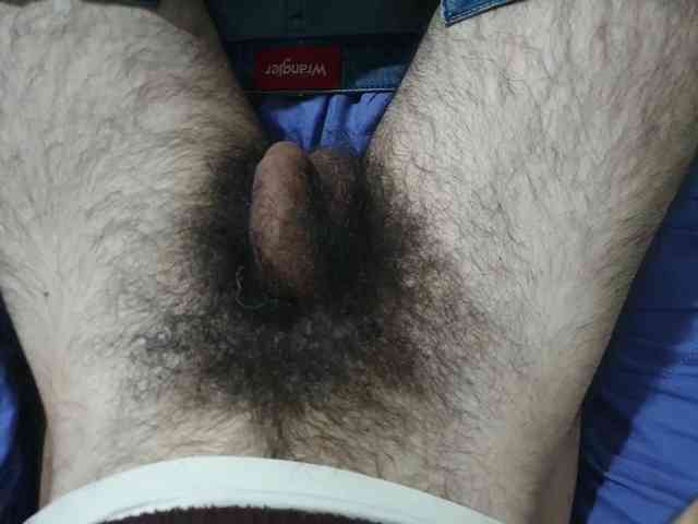 bomvemcam