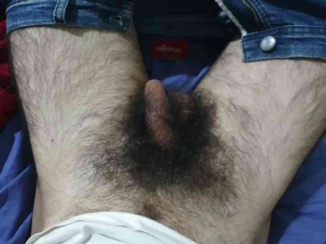 bomvemcam
