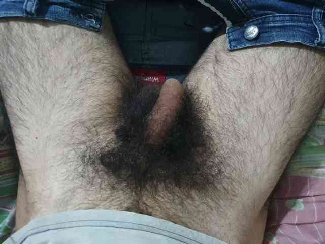 bomvemcam