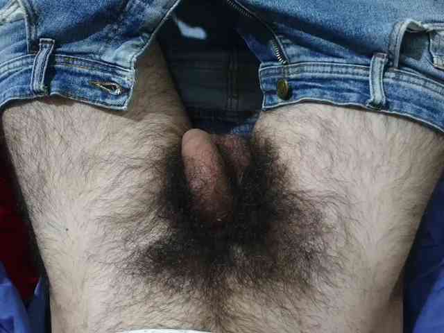 bomvemcam