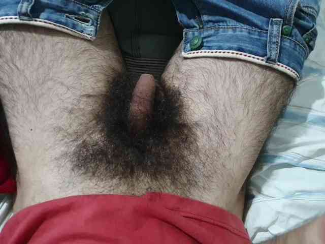 bomvemcam