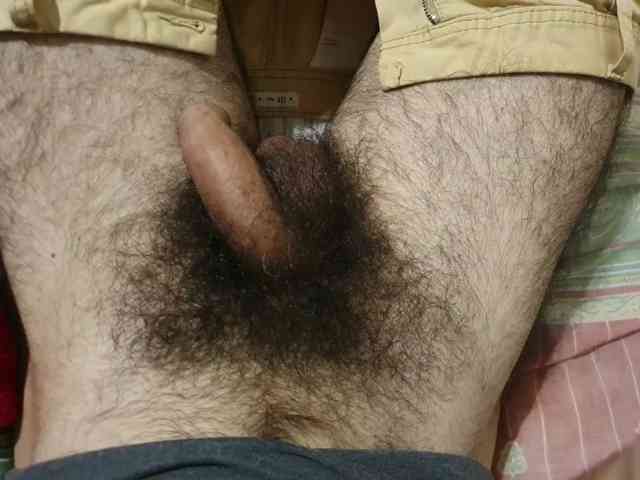 bomvemcam