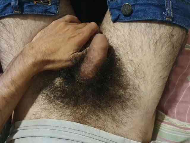 bomvemcam