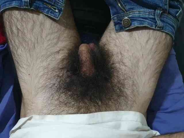 bomvemcam