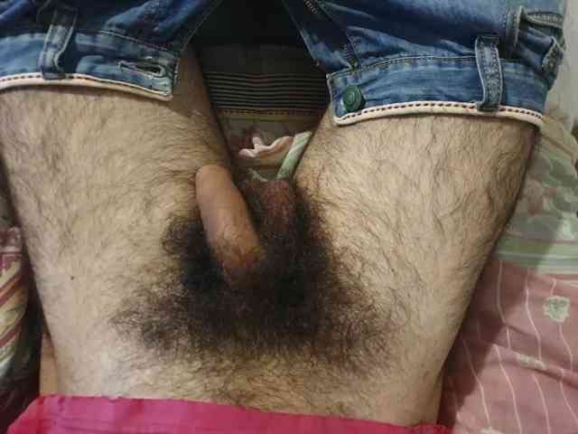 bomvemcam