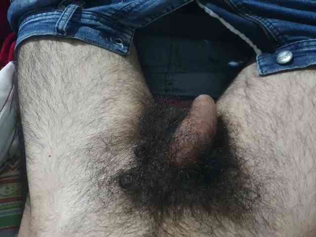 bomvemcam