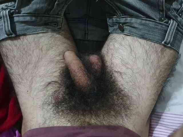 bomvemcam