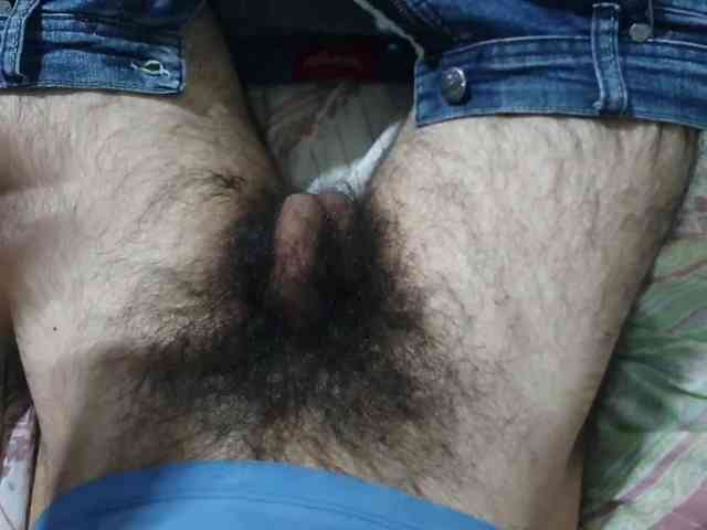 bomvemcam