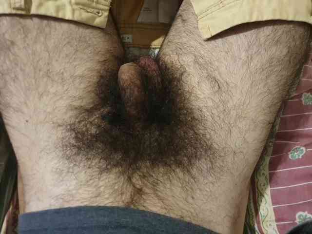 bomvemcam