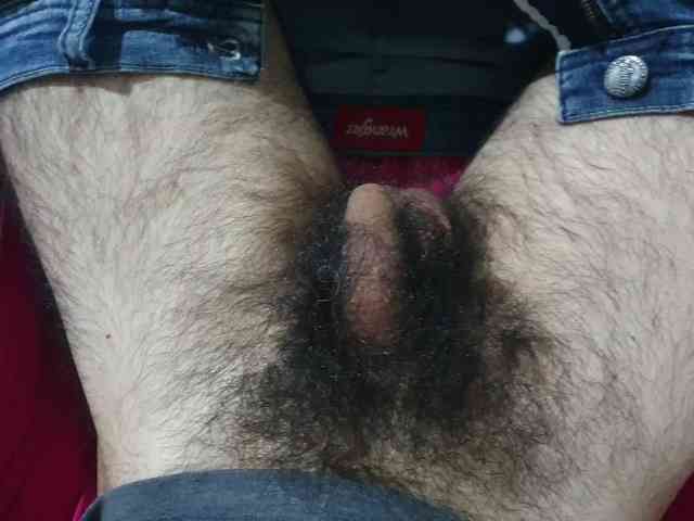 bomvemcam