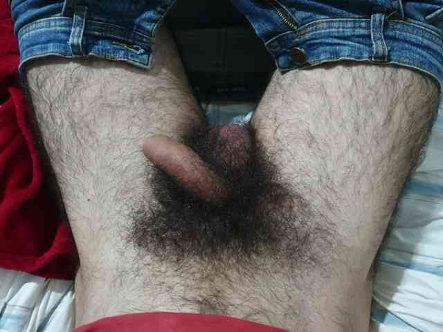 bomvemcam