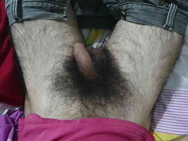bomvemcam