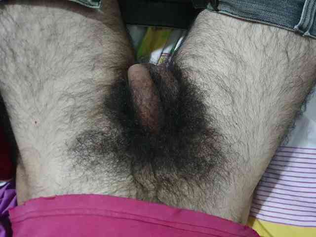 bomvemcam