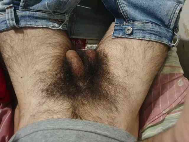 bomvemcam